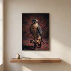 برواز الصقر العربي