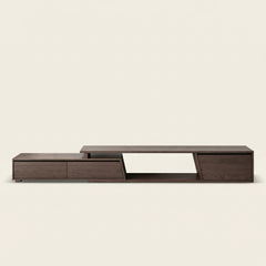 Vector Modern TV Unit